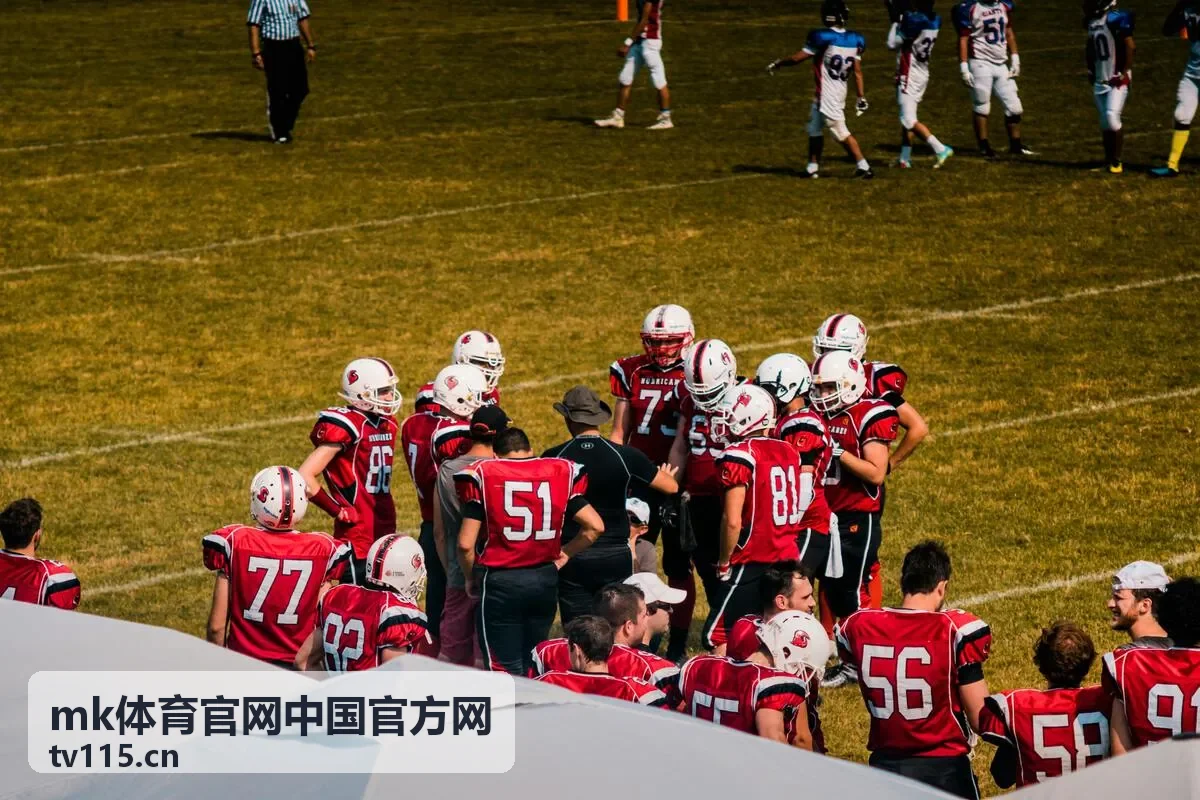 体育爱好者组织通过mk体育平台发布线下观赛活动案例